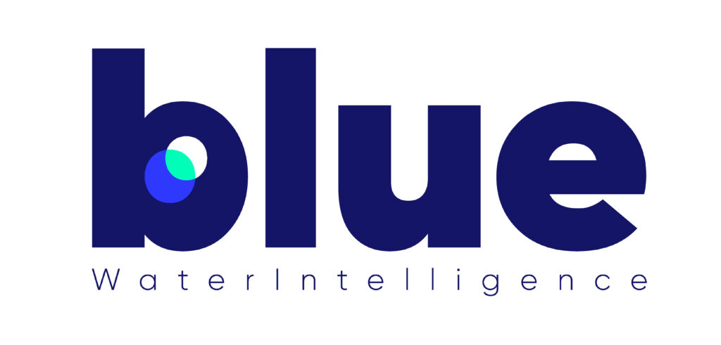 Blue BWI logo membre Jules Lesmart